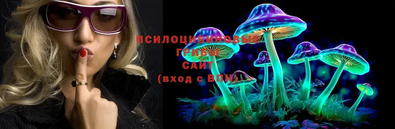 Галлюциногенные грибы MAGIC MUSHROOMS  что такое   гидра как войти  Чухлома 